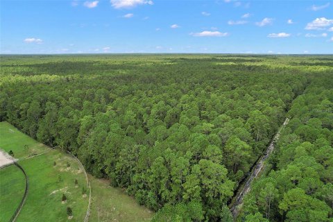 Land in Astor, Florida № 1367791 - photo 17