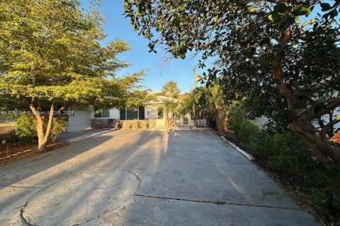 Купить коммерческую недвижимость в Лодердейл-бай-те-Си, Флорида 220.83м2, № 1142170 - фото 2