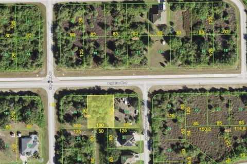 Land in Port Charlotte, Florida № 215264 - photo 2