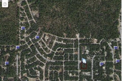 Land in Ocala, Florida № 1392443 - photo 4