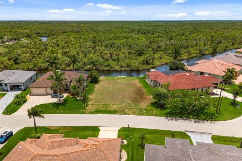 Land in Punta Gorda, Florida № 1245730 - photo 2