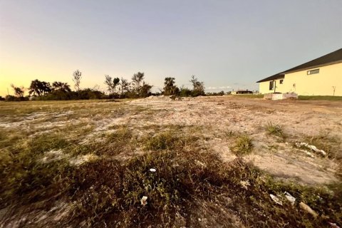 Terrain à vendre à Cape Coral, Floride № 476177 - photo 2