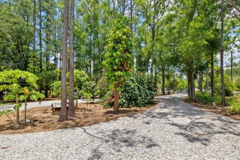 Villa ou maison à vendre à Odessa, Floride: 3 chambres, 181.16 m2 № 1244579 - photo 4