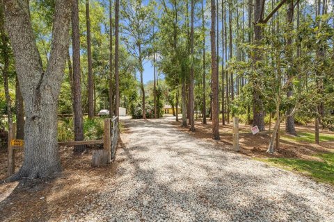 Villa ou maison à vendre à Odessa, Floride: 3 chambres, 181.16 m2 № 1244579 - photo 1