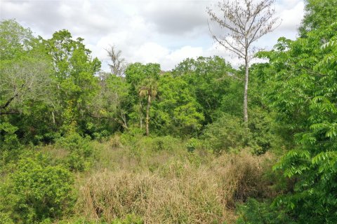 Land in Okeechobee, Florida № 1177203 - photo 7