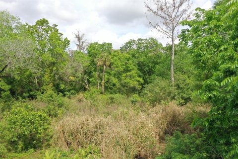 Land in Okeechobee, Florida № 1177203 - photo 6