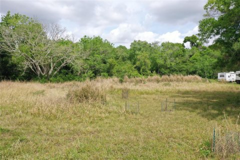 Land in Okeechobee, Florida № 1177203 - photo 10