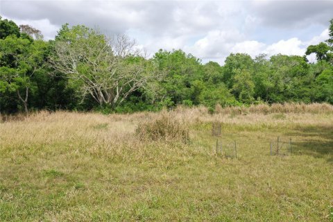 Land in Okeechobee, Florida № 1177203 - photo 9