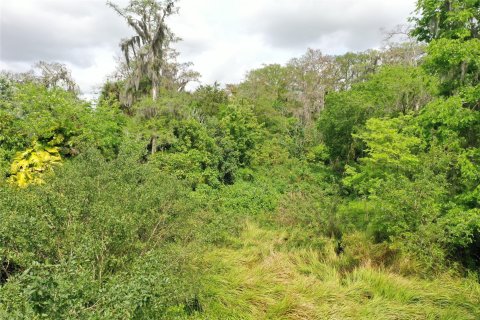 Land in Okeechobee, Florida № 1177203 - photo 5