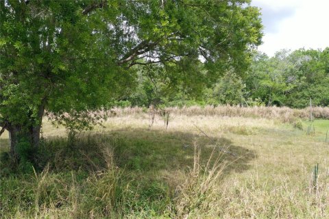 Land in Okeechobee, Florida № 1177203 - photo 15