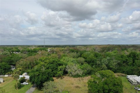 Land in Okeechobee, Florida № 1177203 - photo 13