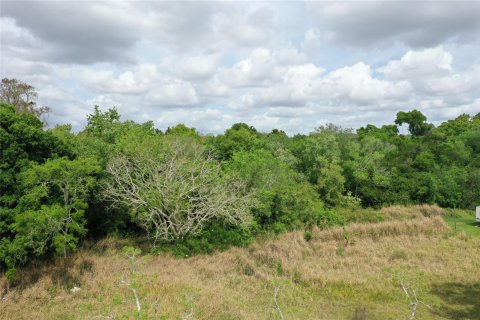 Land in Okeechobee, Florida № 1177203 - photo 11