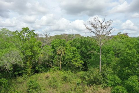 Land in Okeechobee, Florida № 1177203 - photo 8