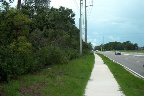 Купить земельный участок в Делтона, Флорида № 212827 - фото 4