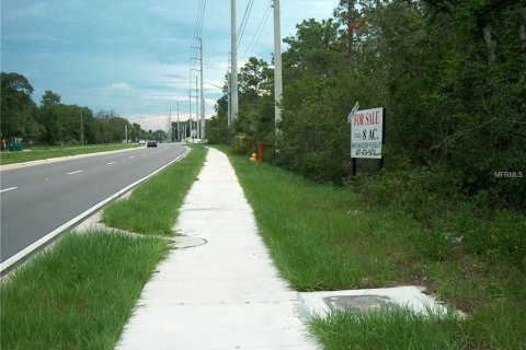 Купить земельный участок в Делтона, Флорида № 212827 - фото 3
