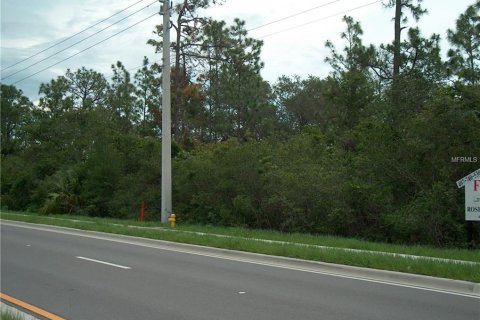 Terrain à vendre à Deltona, Floride № 212827 - photo 1