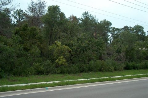 Land in Deltona, Florida № 212827 - photo 5