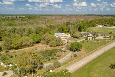 Immobilier commercial à louer à Kissimmee, Floride: 30.66 m2 № 1371625 - photo 4