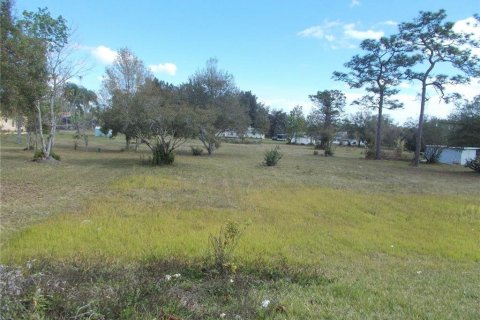 Terrain à vendre à Kissimmee, Floride № 215428 - photo 8