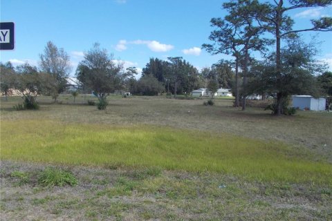 Land in Kissimmee, Florida № 215428 - photo 7