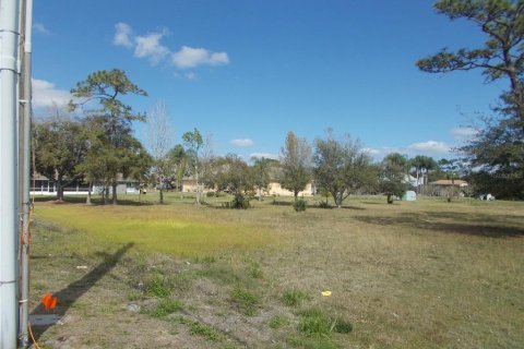 Land in Kissimmee, Florida № 215428 - photo 5