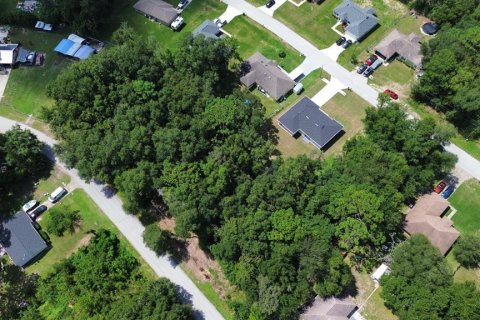 Land in Ocala, Florida № 1317352 - photo 2