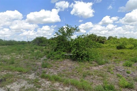 Land in LaBelle, Florida № 933580 - photo 2