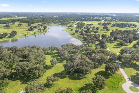 Land in Summerfield, Florida № 1370251 - photo 5