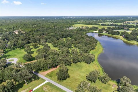 Terreno en venta en Summerfield, Florida № 1370251 - foto 4