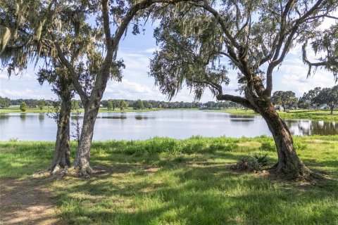 Land in Summerfield, Florida № 1370251 - photo 7