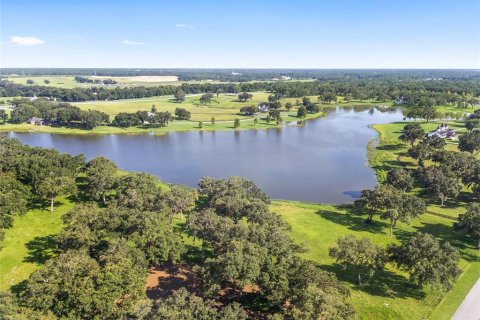 Land in Summerfield, Florida № 1370251 - photo 11