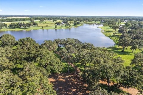 Land in Summerfield, Florida № 1370251 - photo 6