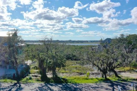 Villa ou maison à vendre à Saint Augustine, Floride: 4 chambres, 382.57 m2 № 775073 - photo 23