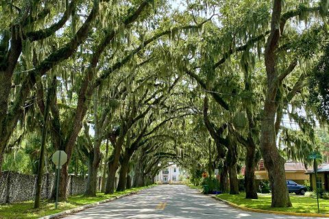 Villa ou maison à vendre à Saint Augustine, Floride: 4 chambres, 382.57 m2 № 775073 - photo 26