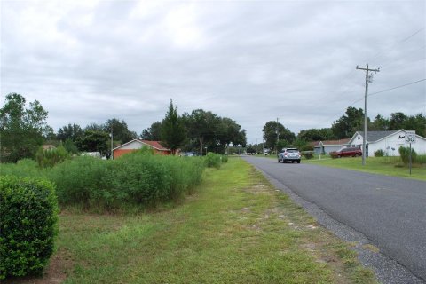 Terrain à vendre à Ocala, Floride № 1153122 - photo 2