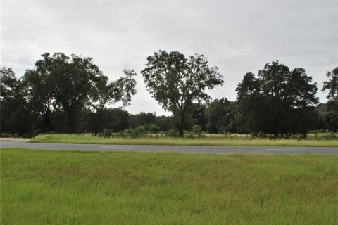 Terrain à vendre à Ocala, Floride № 1153122 - photo 5