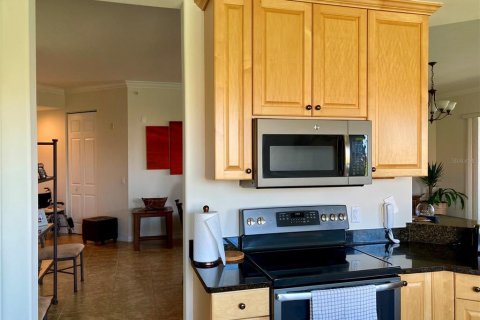 Condo in Punta Gorda, Florida, 2 bedrooms  № 1314509 - photo 12