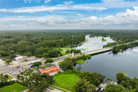 Land in Temple Terrace, Florida № 1367780 - photo 11