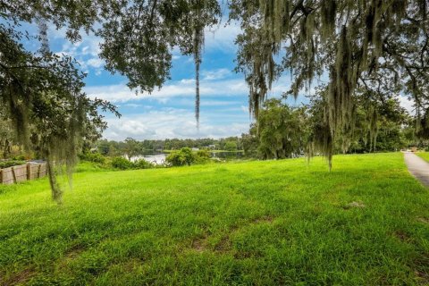 Land in Temple Terrace, Florida № 1367780 - photo 3