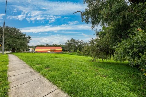 Land in Temple Terrace, Florida № 1367780 - photo 5