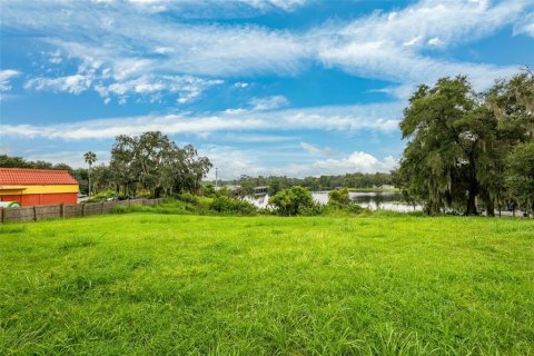 Land in Temple Terrace, Florida № 1367780 - photo 4