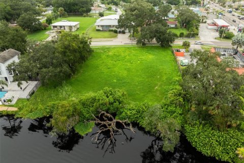 Land in Temple Terrace, Florida № 1367780 - photo 9