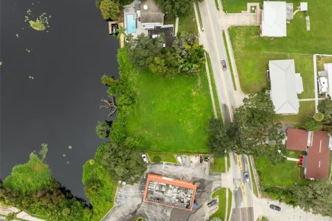 Land in Temple Terrace, Florida № 1367780 - photo 8