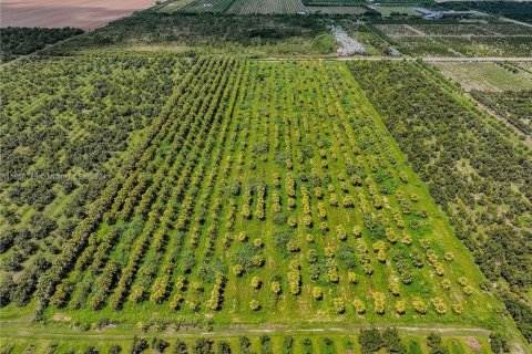 Купить коммерческую недвижимость в Хомстед, Флорида № 1358729 - фото 26