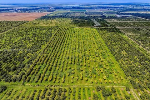 Купить коммерческую недвижимость в Хомстед, Флорида № 1358729 - фото 20