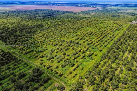 Купить коммерческую недвижимость в Хомстед, Флорида № 1358729 - фото 23