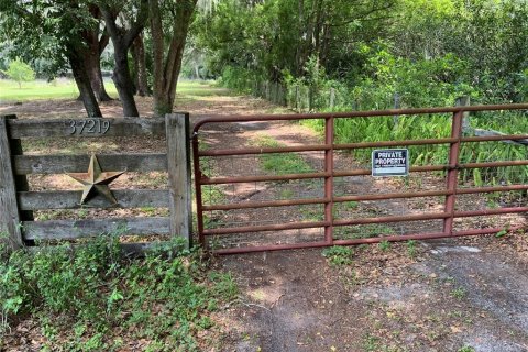 Land in Zephyrhills, Florida № 1199175 - photo 3