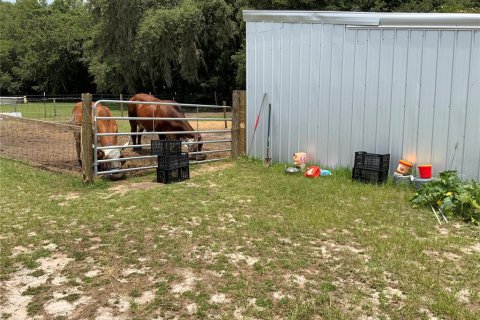 Terreno en venta en Zephyrhills, Florida № 1199175 - foto 16