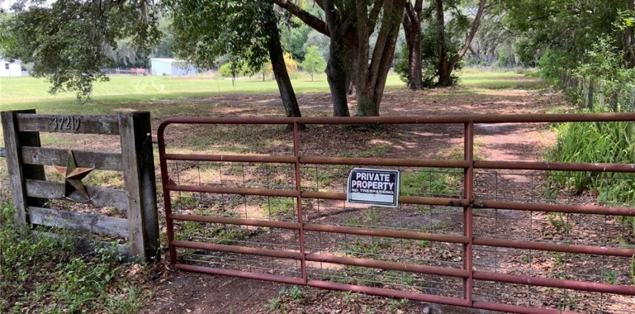 Terreno en Zephyrhills, Florida № 1199175