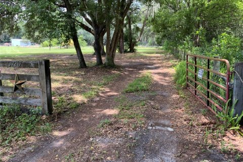 Terreno en venta en Zephyrhills, Florida № 1199175 - foto 11